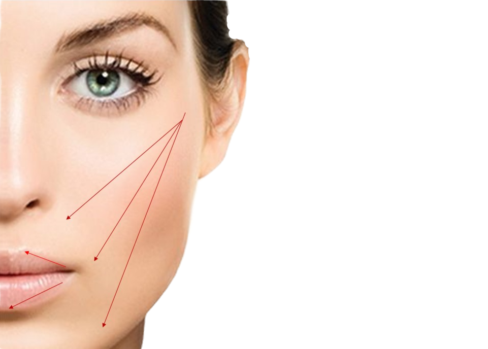 Aesthetics 5 Close up of beautiful woman with vector lines on cheek